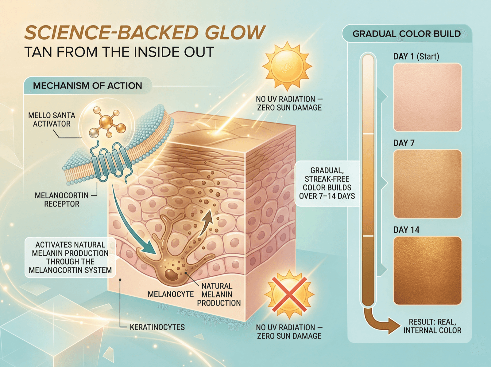 melanotan ii side effect Melanotan  What It Is and Its Relation to Skin Cancer